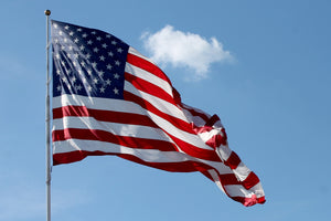 Commercial Flagpole - Federal Flags